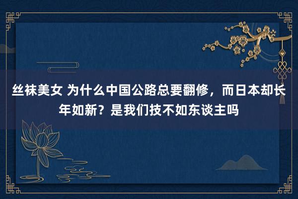 丝袜美女 为什么中国公路总要翻修,而日本却长年如新?是我们技不如东谈主吗