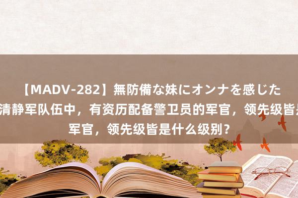 【MADV-282】無防備な妹にオンナを感じたボク。 3 在清静军队伍中，有资历配备警卫员的军官，领先级皆是什么级别？