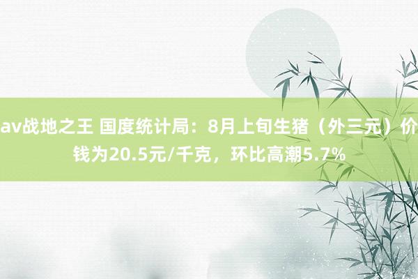 av战地之王 国度统计局:8月上旬生猪(外三元)价钱为20.5元/千克,环比高潮5.7%