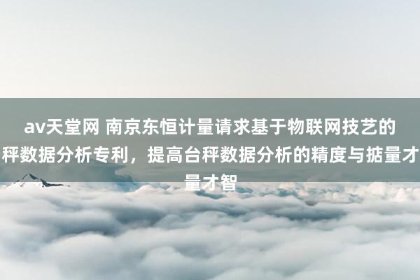 av天堂网 南京东恒计量请求基于物联网技艺的台秤数据分析专利，提高台秤数据分析的精度与掂量才智