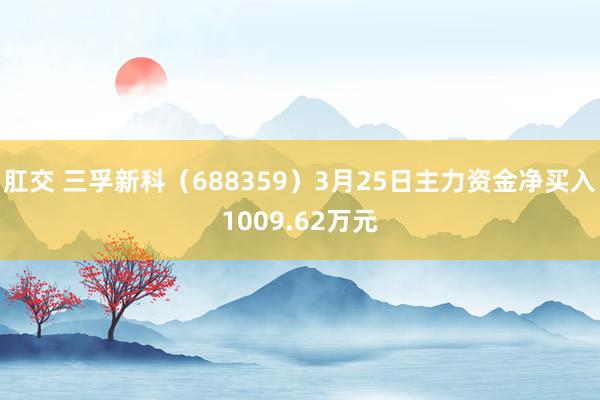 肛交 三孚新科（688359）3月25日主力资金净买入1009.62万元