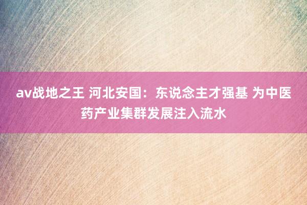 av战地之王 河北安国：东说念主才强基 为中医药产业集群发展注入流水