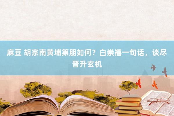 麻豆 胡宗南黄埔第朋如何？白崇禧一句话，谈尽晋升玄机